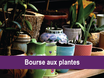 bourse_aux_plantes_27_03_27