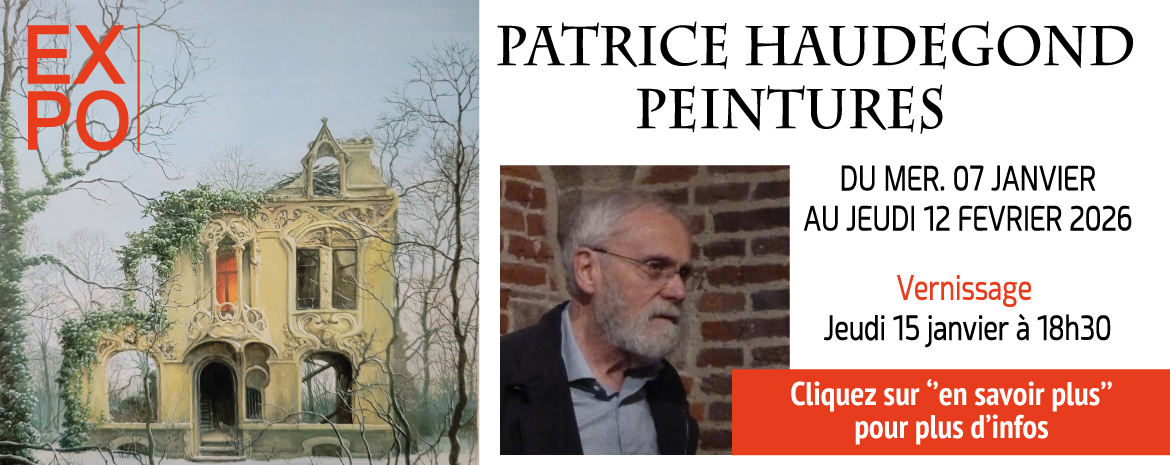 slider_expo_patrice_haudegond